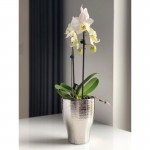 Keramični lonec Moon 31.120.18